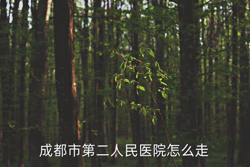 太平園到成都市第二人民醫院分院，坐8路公交到成都市第二人民醫院在哪一站下車