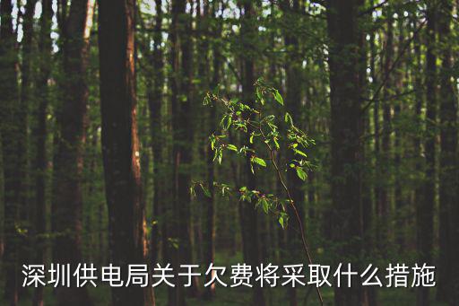 深圳供電局關(guān)于欠費(fèi)將采取什么措施