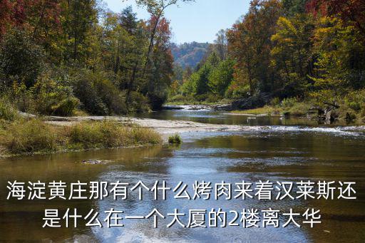 海淀黃莊那有個什么烤肉來著漢萊斯還是什么在一個大廈的2樓離大華
