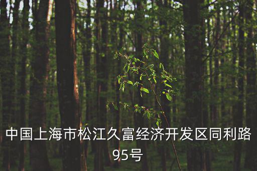 中國上海市松江久富經濟開發區同利路95號