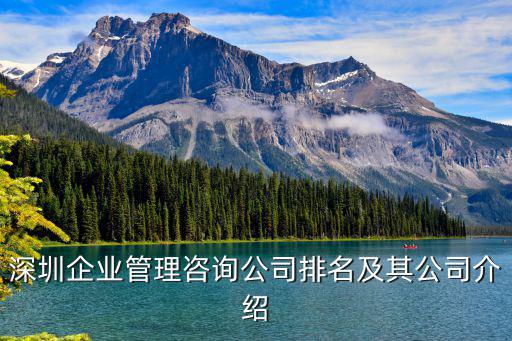 深圳企業(yè)管理咨詢公司排名及其公司介紹