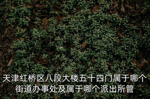 天津紅橋區八段大樓五十四門屬于哪個街道辦事處及屬于哪個派出所管