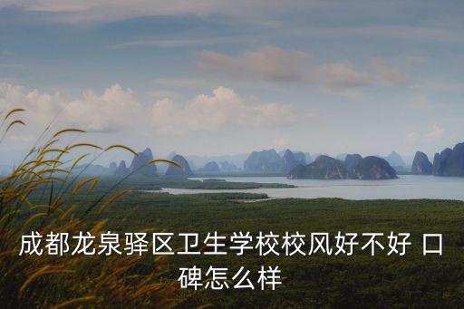 成都市龍泉驛區(qū)世言教育，成都龍泉驛區(qū)衛(wèi)生學校校風好不好 口碑怎么樣