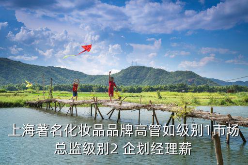上海著名化妝品品牌高管如級別1市場總監級別2 企劃經理薪