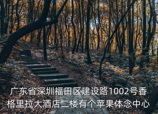 廣東省深圳福田區(qū)建設(shè)路1002號香格里拉大酒店二樓有個蘋果體念中心