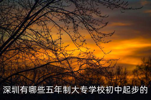 深圳有哪些五年制大專學校初中起步的