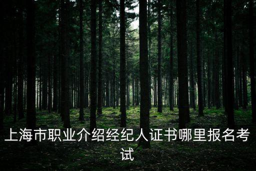 上海市經(jīng)紀(jì)執(zhí)業(yè)資格，上海房地產(chǎn)經(jīng)紀(jì)人證書2014年還能考嗎