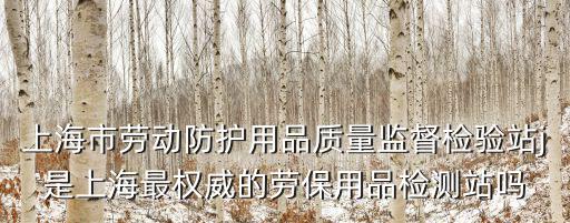 上海市安全標(biāo)準(zhǔn)化研究所，上海市鋁合金門窗安全玻璃距地多少