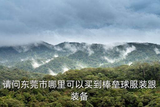 請問東莞市哪里可以買到棒壘球服裝跟裝備