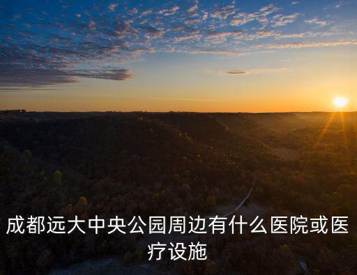 成都遠大中央公園周邊有什么醫院或醫療設施