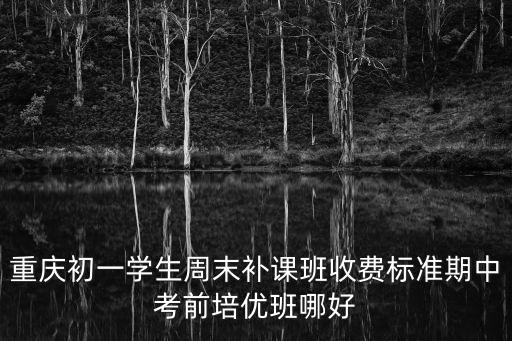 重慶初一學生周末補課班收費標準期中考前培優班哪好