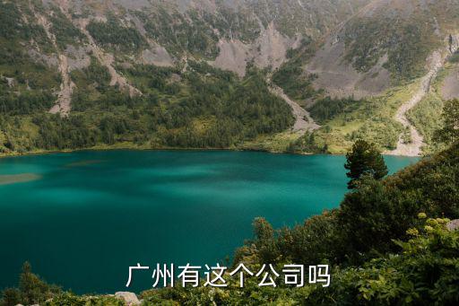 廣州有這個公司嗎