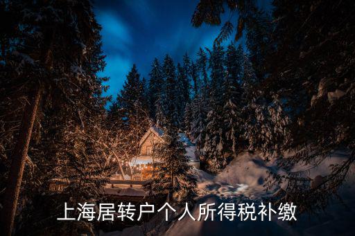 上海居轉戶個人所得稅補繳
