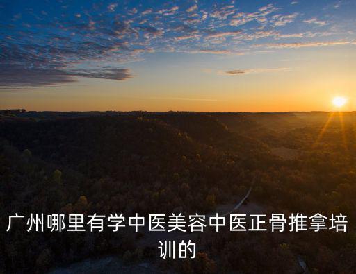 廣州哪里有學(xué)中醫(yī)美容中醫(yī)正骨推拿培訓(xùn)的