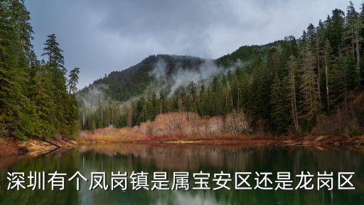 深圳有個(gè)鳳崗鎮(zhèn)是屬寶安區(qū)還是龍崗區(qū)