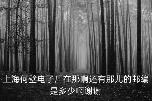 上海何壁電子廠在那啊還有那兒的郵編是多少啊謝謝