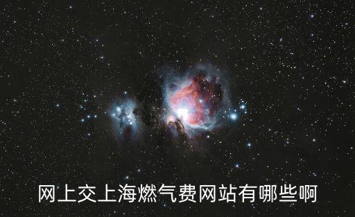 網上交上海燃氣費網站有哪些啊