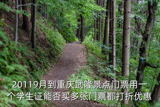 重慶市武隆中學學生證，20119月到重慶武隆景點門票用一個學生證能否買多張門票都打折優惠