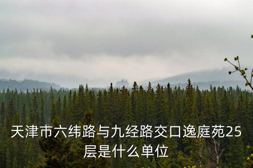 天津市六緯路與九經(jīng)路交口逸庭苑25層是什么單位