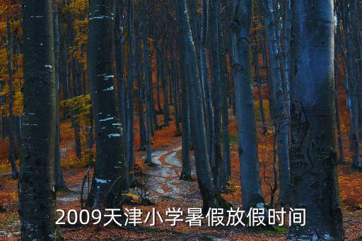 2009天津小學暑假放假時間