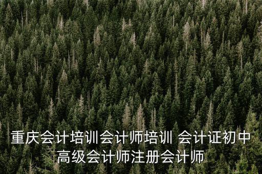 重慶會計培訓會計師培訓 會計證初中高級會計師注冊會計師