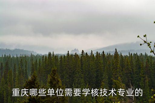 重慶哪些單位需要學核技術專業(yè)的