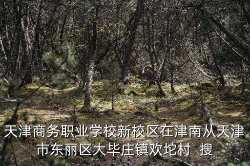 天津商務職業學校新校區在津南從天津市東麗區大畢莊鎮歡坨村  搜