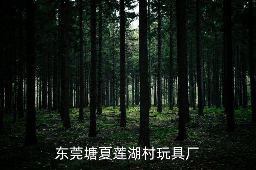 東莞塘夏蓮湖村玩具廠
