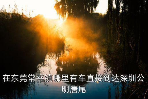 在東莞常平鎮哪里有車直接到達深圳公明唐尾