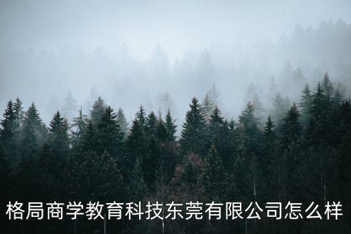 格局商學教育科技東莞有限公司怎么樣