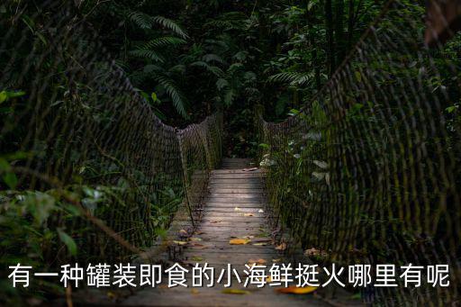 有一種罐裝即食的小海鮮挺火哪里有呢