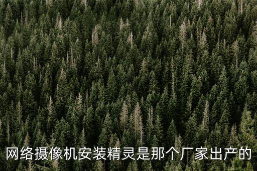 深圳威展力眾科技有限公司，網絡攝像機安裝精靈是那個廠家出產的