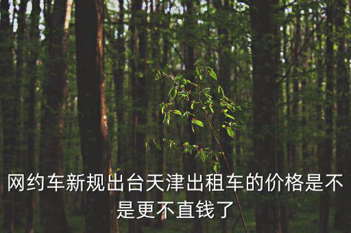 網(wǎng)約車新規(guī)出臺天津出租車的價格是不是更不直錢了