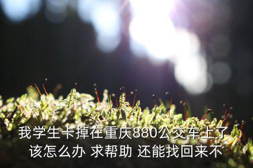 重慶市學(xué)生公交卡丟了怎么辦，重慶怎么補(bǔ)辦學(xué)生卡需要哪些東西小票不見了可以補(bǔ)辦嗎怎么補(bǔ)