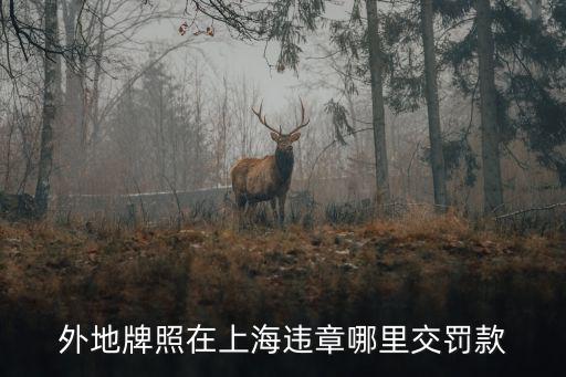 外地牌照在上海違章哪里交罰款