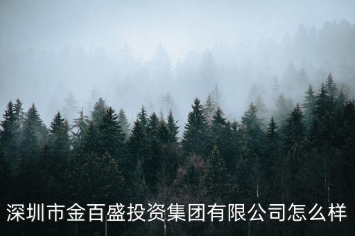深圳市金百盛投資集團有限公司怎么樣
