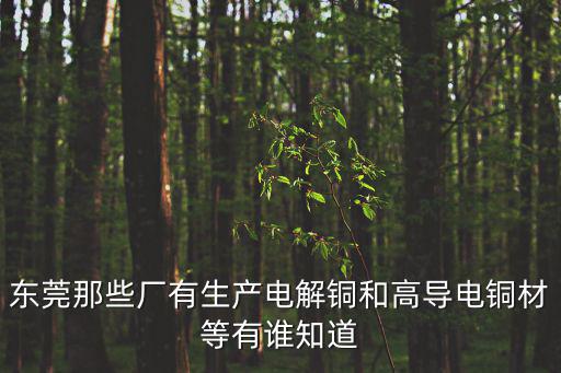 東莞市惠程金屬實(shí)業(yè)有限公司，請問廣東東莞 深圳 惠州那里有酸洗端子五金的公司
