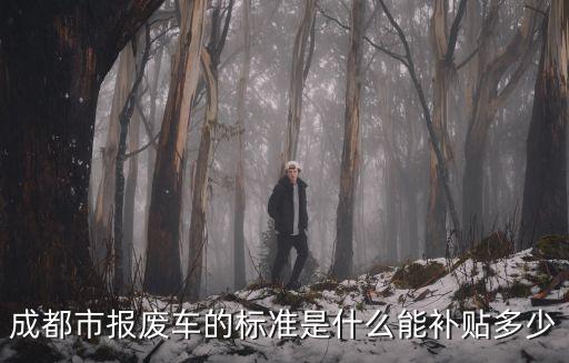 成都市報廢車的標準是什么能補貼多少