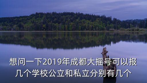 2019年成都市傳統校秩序冊，想問一下2019年成都大搖號可以報幾個學校公立和私立分別有幾個