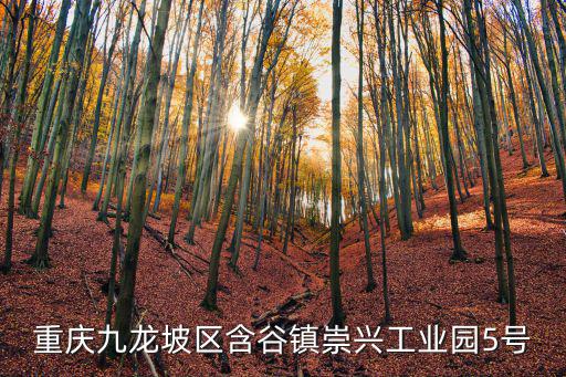 重慶市九龍坡區(qū)招工司機，重慶九龍坡區(qū)含谷鎮(zhèn)崇興工業(yè)園5號
