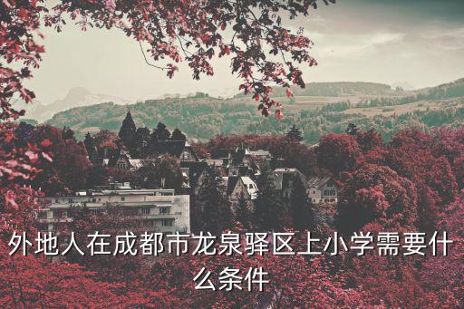外地人在成都市龍泉驛區(qū)上小學(xué)需要什么條件