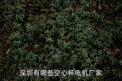 深圳有哪些空心杯電機廠家