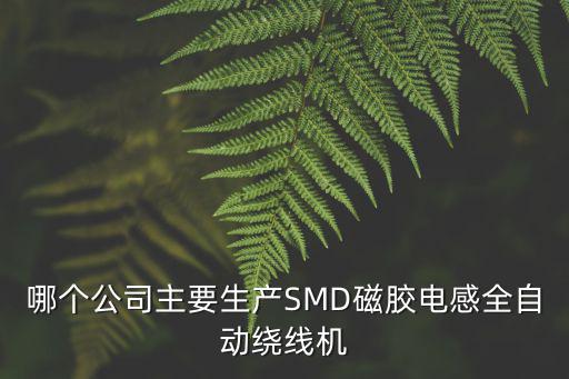 哪個公司主要生產SMD磁膠電感全自動繞線機