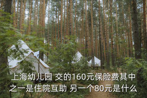 上海市幼兒園05標準，上海民辦幼兒園的收費標準是怎么樣的