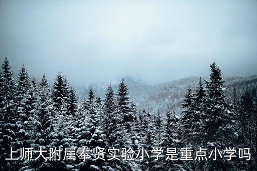 上師大附屬奉賢實(shí)驗(yàn)小學(xué)是重點(diǎn)小學(xué)嗎
