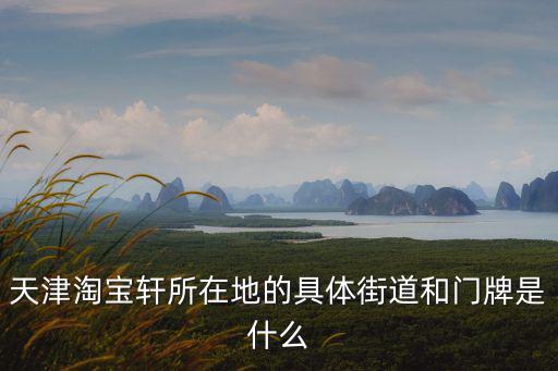 天津淘寶軒所在地的具體街道和門(mén)牌是什么