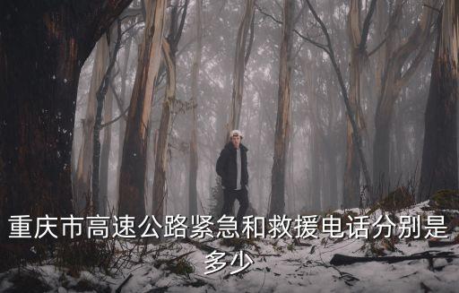 重慶市防汛辦電話，重慶市高速公路緊急和救援電話分別是多少