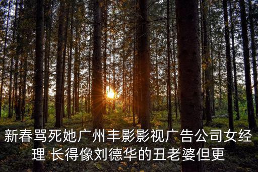 新春罵死她廣州豐影影視廣告公司女經理 長得像劉德華的丑老婆但更