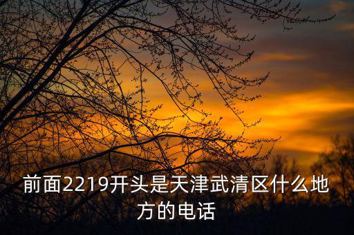 前面2219開頭是天津武清區什么地方的電話