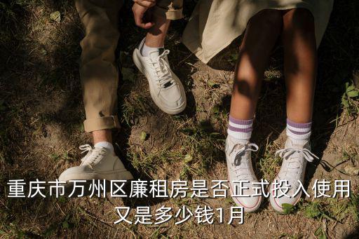 重慶市萬州區(qū)廉租房是否正式投入使用又是多少錢1月